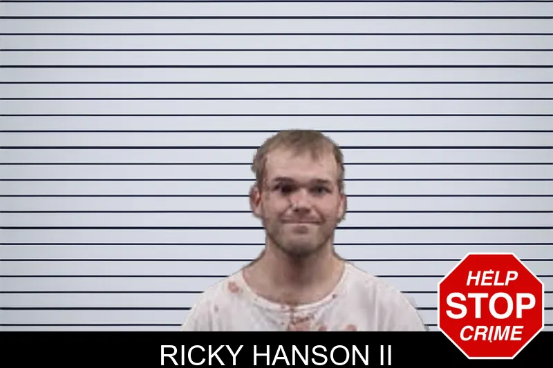 Ricky Hanson II mugshot
