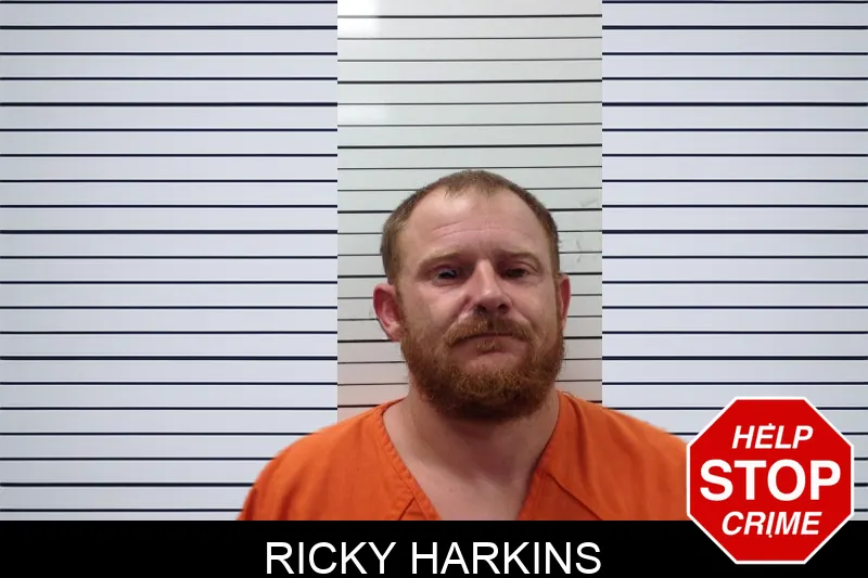 Ricky Harkins mugshot – Pickens County , Georgia Ricky Harkins mugshot