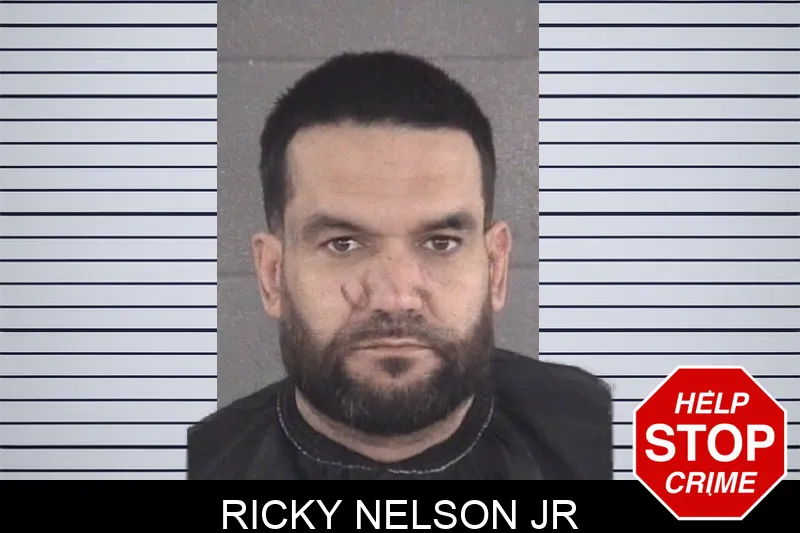 Ricky Nelson Jr mugshot