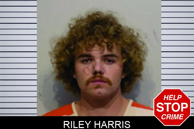 Riley Harris mugshot