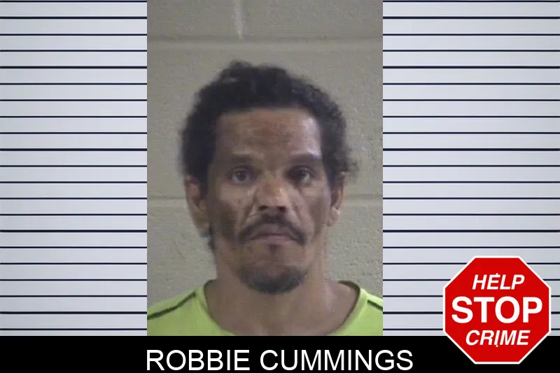 Robbie Cummings mugshot – Whitfield County , Georgia Robbie Cummings mugshot