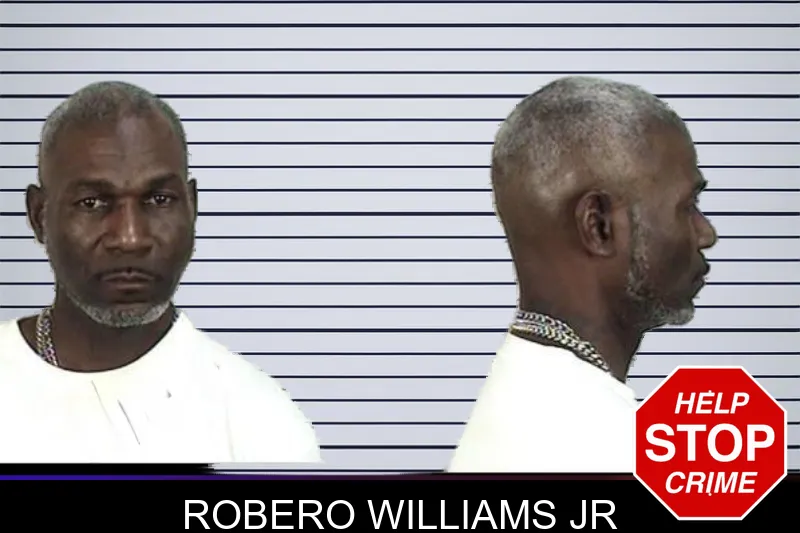 Robero Williams Jr mugshot
