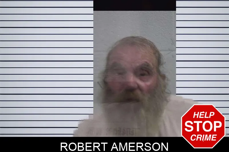 Robert Amerson mugshot