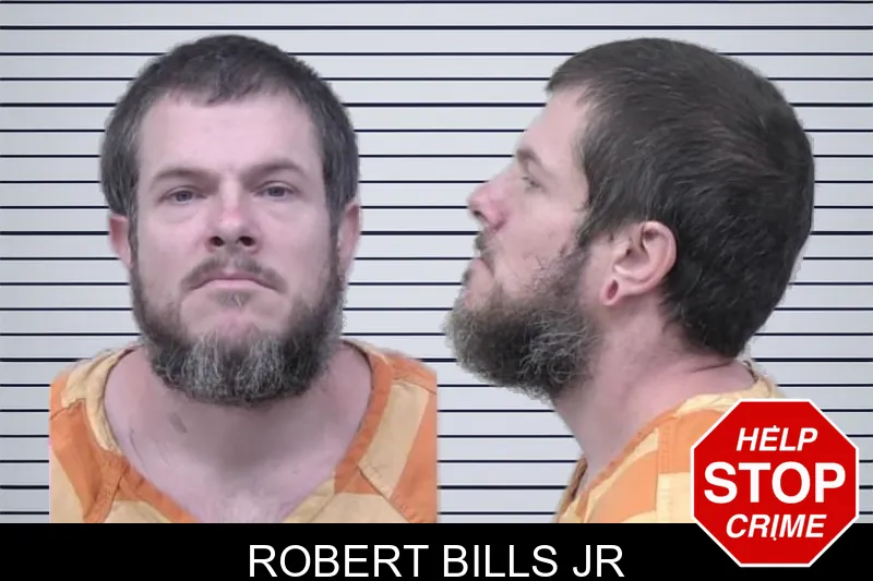 Robert Bills Jr mugshot – Paulding County , Georgia Robert Bills Jr mugshot