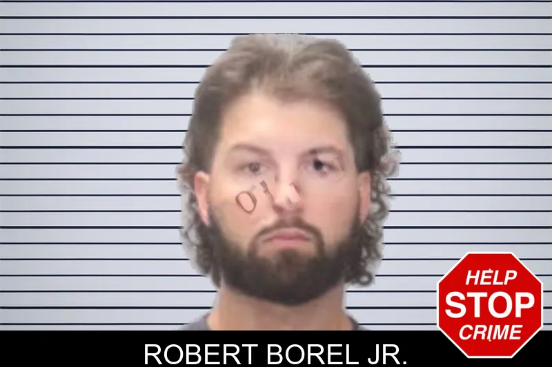 Robert Borel Jr. mugshot