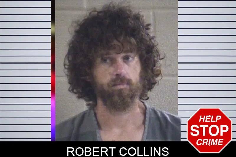 Robert Collins mugshot
