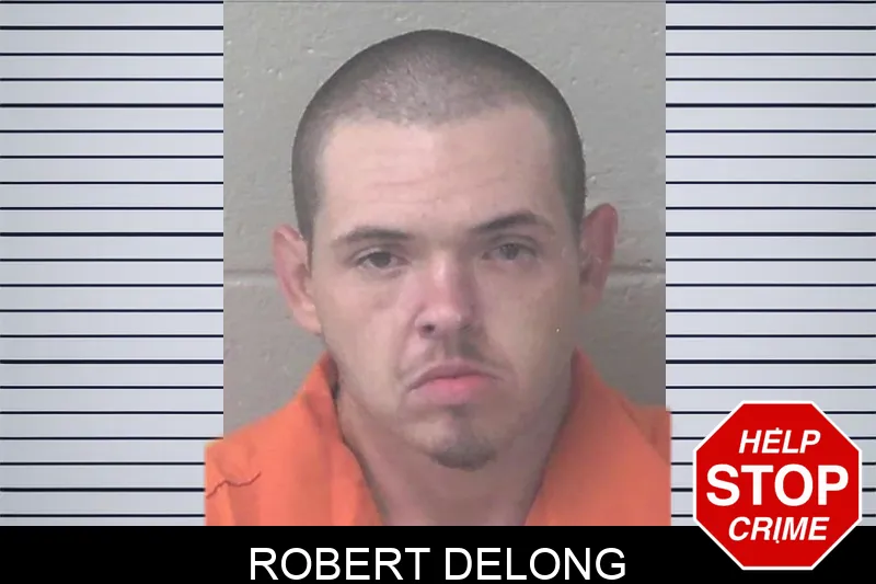 Robert Delong mugshot