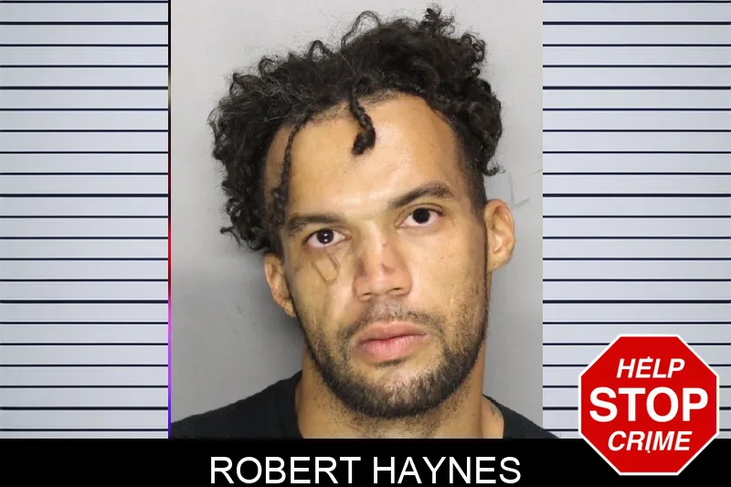 Robert Haynes mugshot