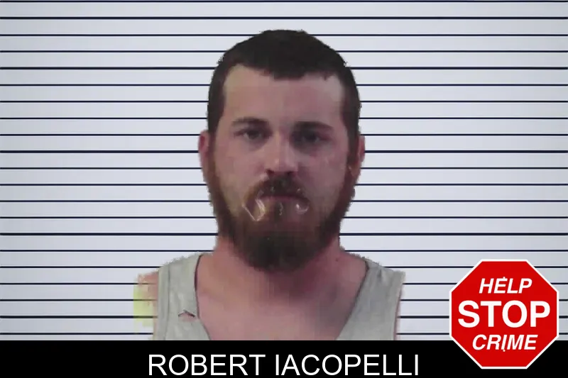 Robert Iacopelli mugshot – Jasper County , Georgia Robert Iacopelli mugshot