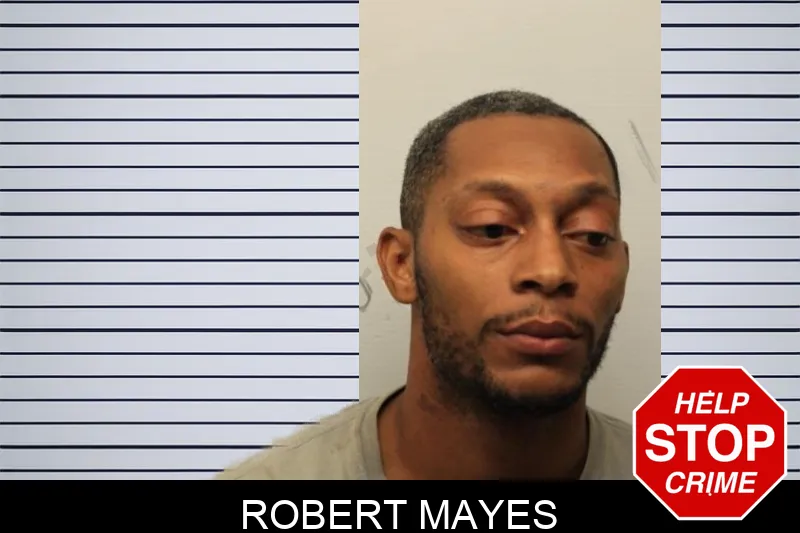 Robert Mayes mugshot