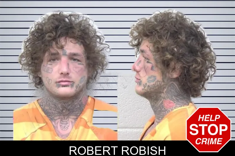 Robert Robish mugshot