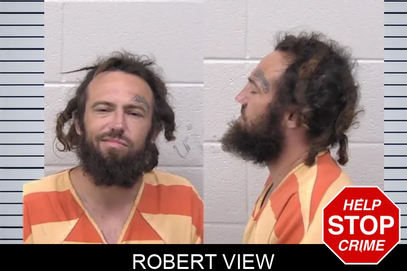 Robert View mugshot
