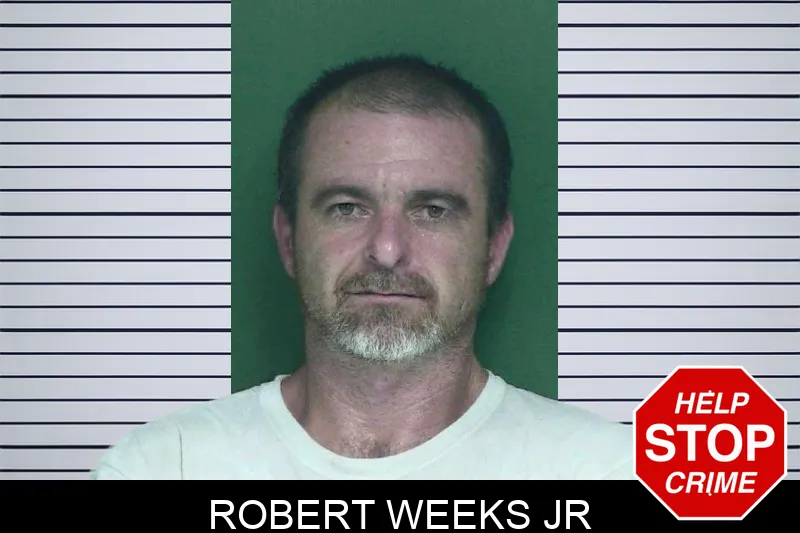 Robert Weeks Jr mugshot