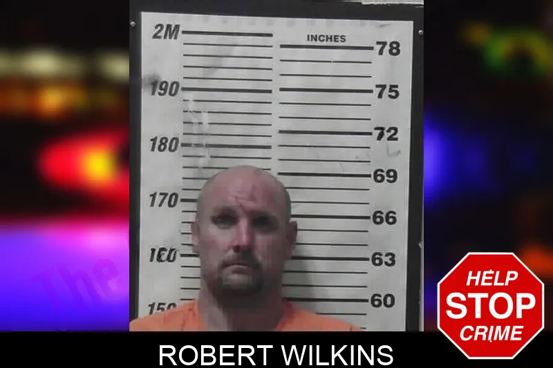 Robert Wilkins mugshot