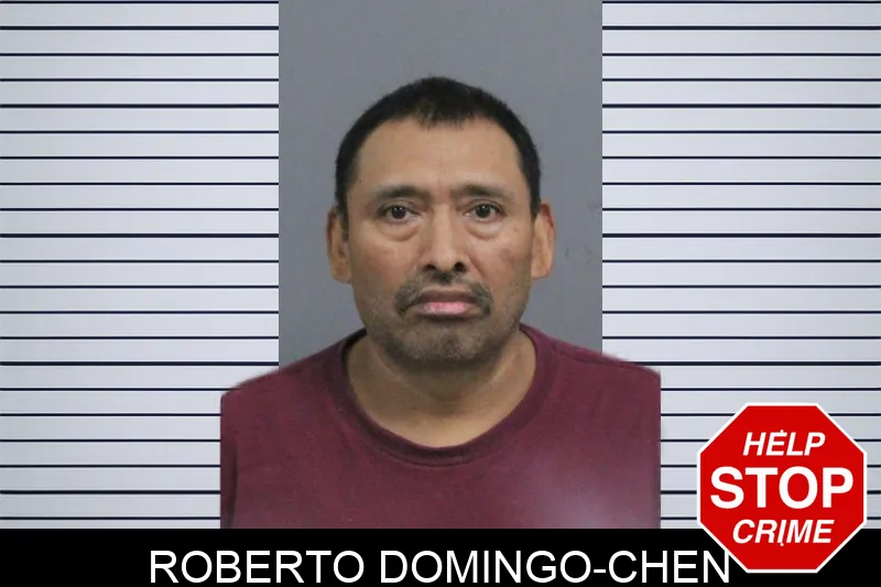 Roberto Domingo-Chen mugshot