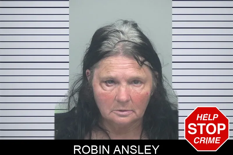 Robin Ansley mugshot