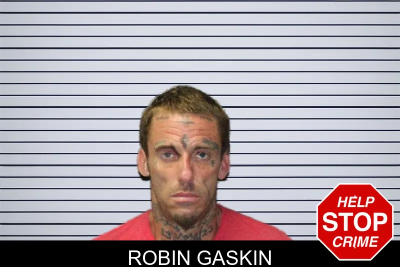 Robin Gaskin mugshot