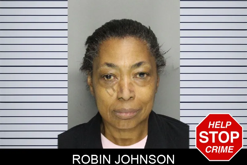 Robin Johnson mugshot