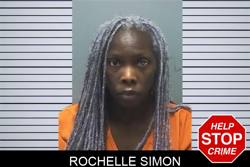Rochelle Simon mugshot – Cherokee County , Georgia Rochelle Simon mugshot