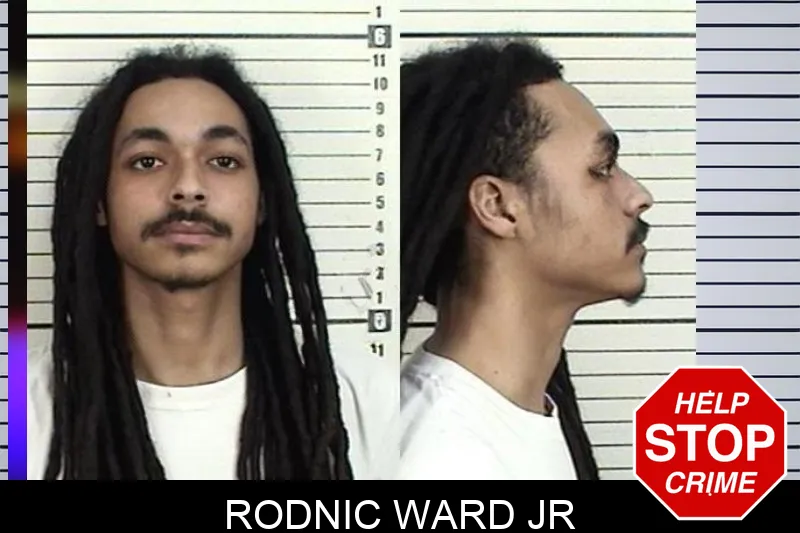Rodnic Ward Jr mugshot – Camden County , Georgia Rodnic Ward Jr mugshot