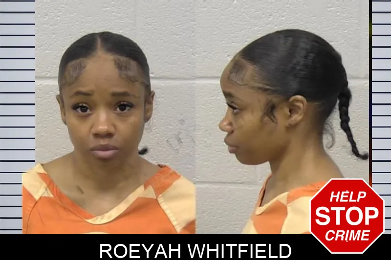 Roeyah Whitfield mugshot – Paulding County , Georgia Roeyah Whitfield mugshot