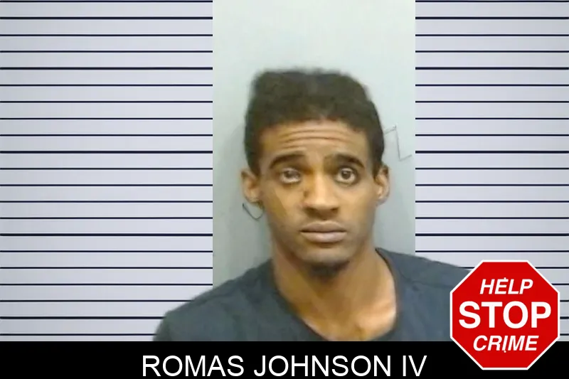 Romas Johnson IV mugshot