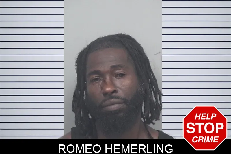 Romeo Hemerling mugshot