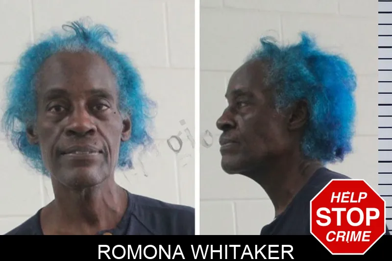 Romona Whitaker mugshot – Houston County , Georgia Romona Whitaker mugshot