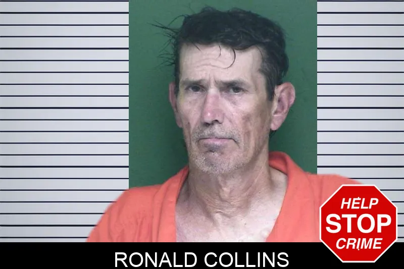 Ronald Collins mugshot – Appling County , Georgia Ronald Collins mugshot