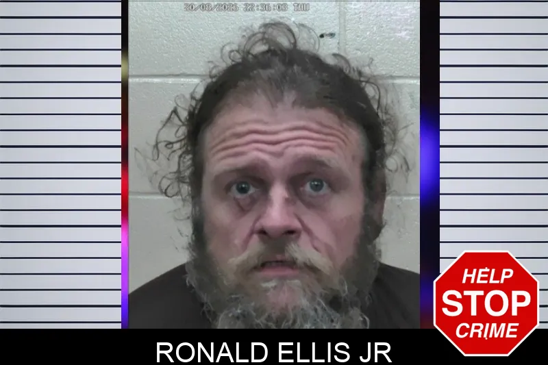 Ronald Ellis Jr mugshot