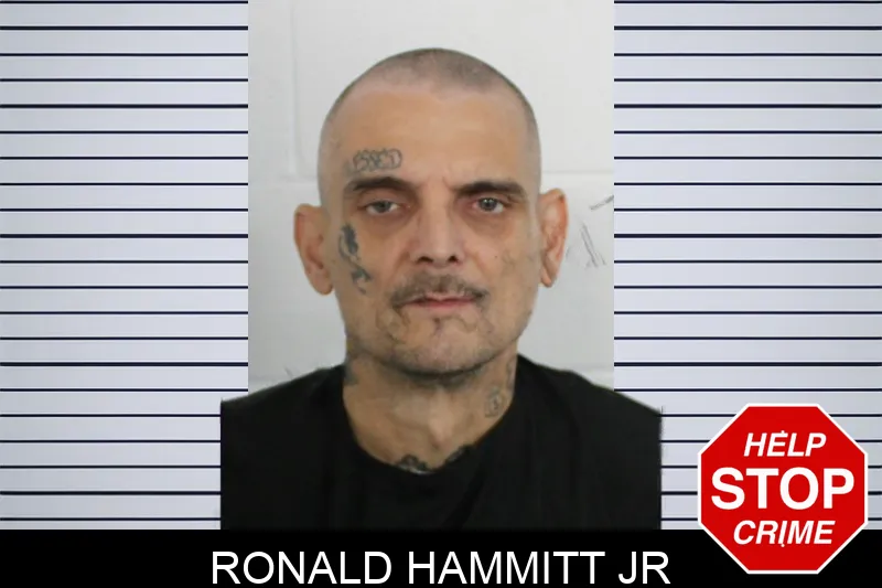 Ronald Hammitt Jr mugshot