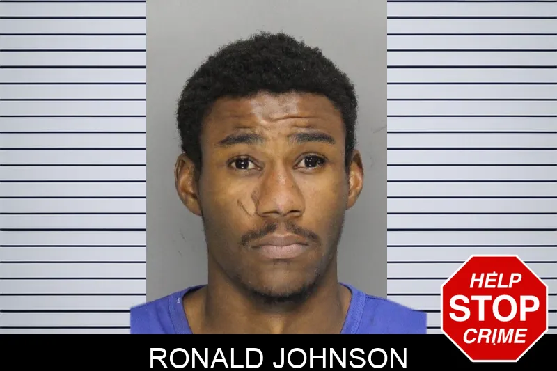 Ronald Johnson mugshot