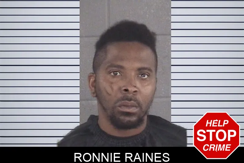 Ronnie Raines mugshot