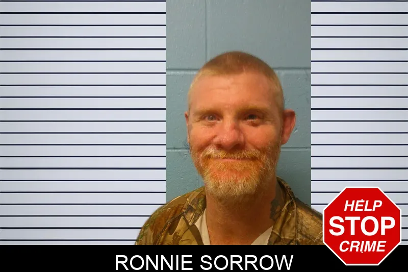 Ronnie Sorrow mugshot – Franklin County , Georgia Ronnie Sorrow mugshot