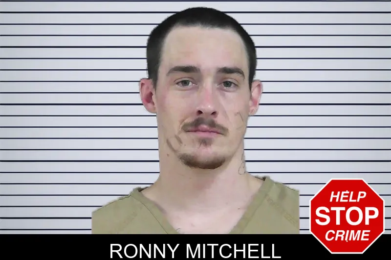 Ronny Mitchell mugshot