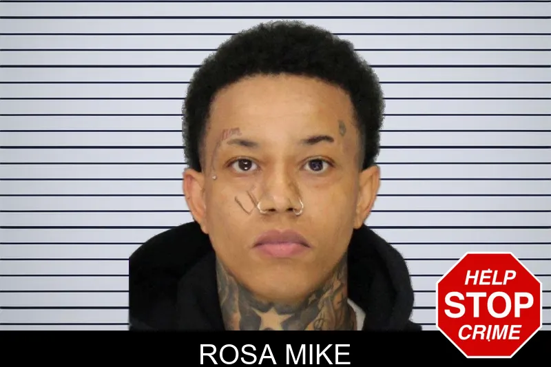Rosa Mike mugshot