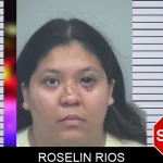 Roselin Rios mugshot