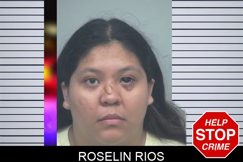 Roselin Rios mugshot