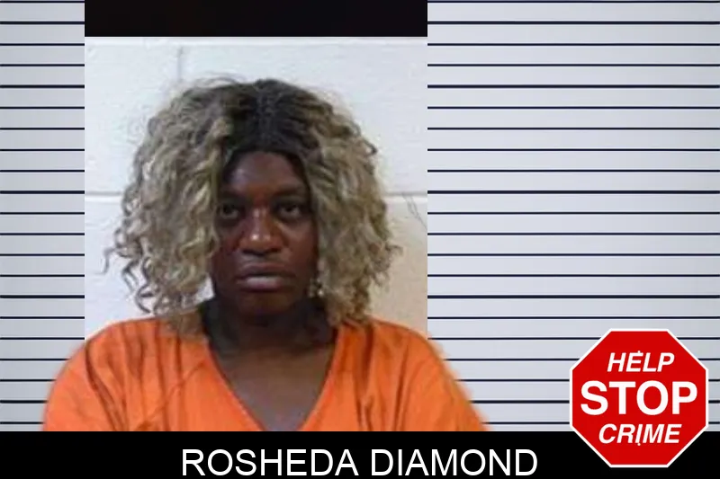 Rosheda Diamond mugshot – Polk County , Georgia Rosheda Diamond mugshot