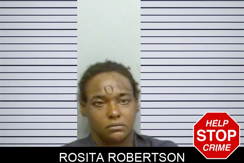 Rosita Robertson mugshot