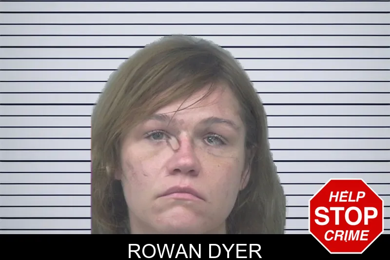 Rowan Dyer mugshot