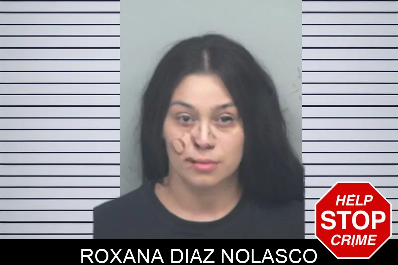Roxana Diaz Nolasco mugshot
