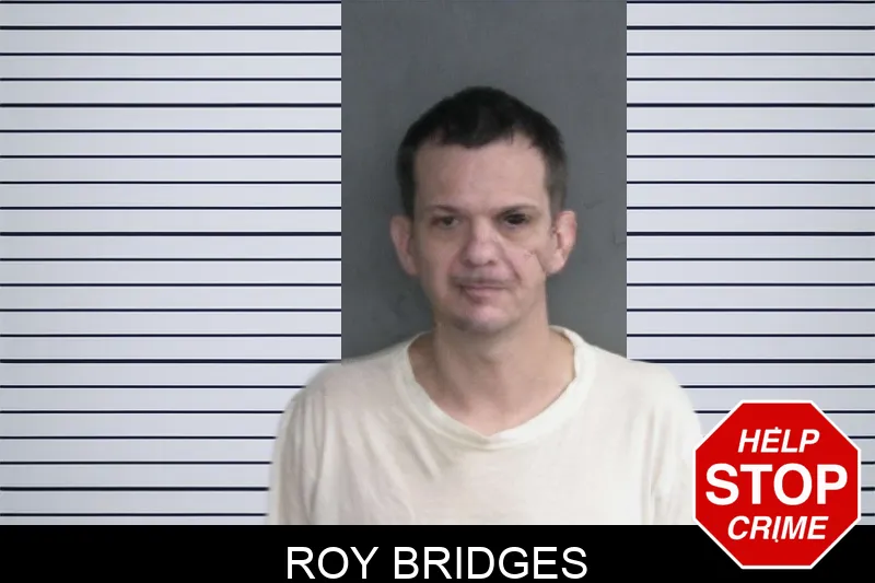 Roy Bridges mugshot