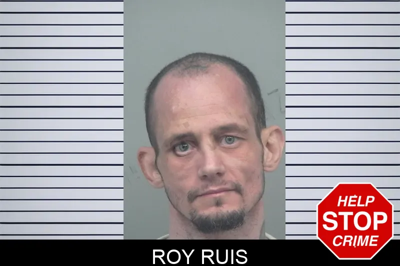 Roy Ruis mugshot