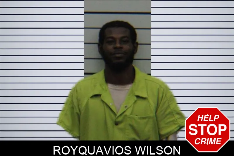Royquavios Wilson mugshot