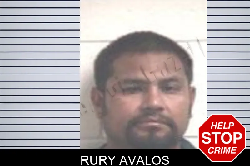 Rury Avalos mugshot