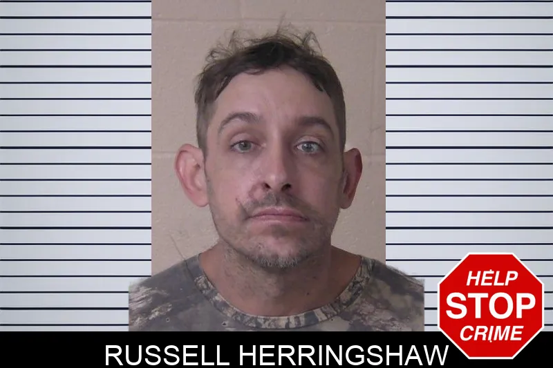 Russell Herringshaw mugshot