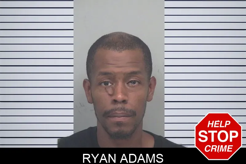 Ryan Adams mugshot
