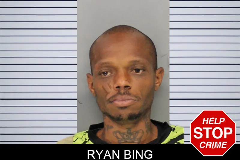 Ryan Bing mugshot