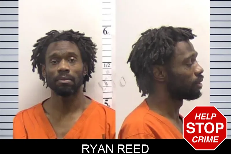 Ryan Reed mugshot